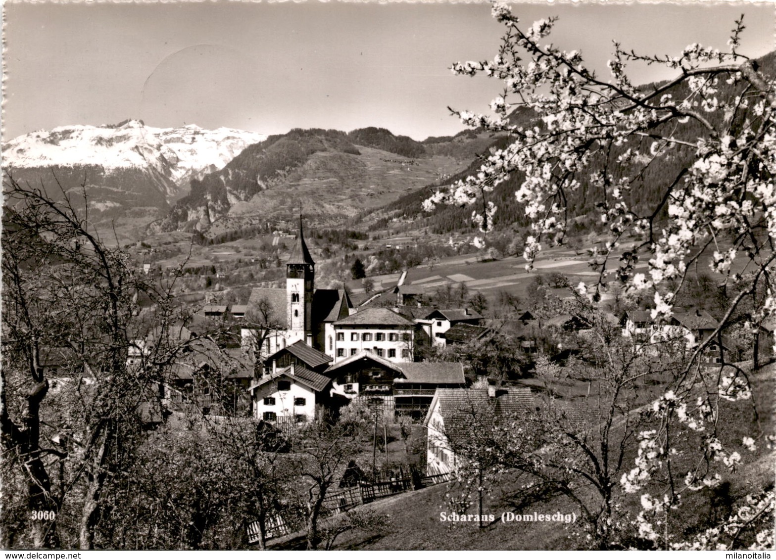 Scharans (Domleschg) (3060) * 7. 4. 1952 (a) - Domleschg