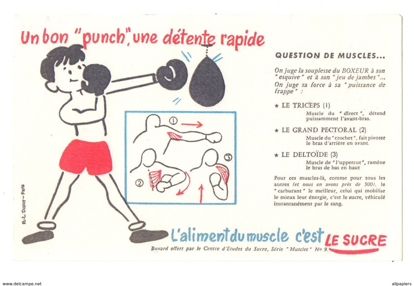 Buvard L'aliment Du Muscle C'est Le Sucre Un Bon "Punch", Une Détente Rapide - Question De Muscles - Format : 13.5x21.5 - Sucreries & Gâteaux