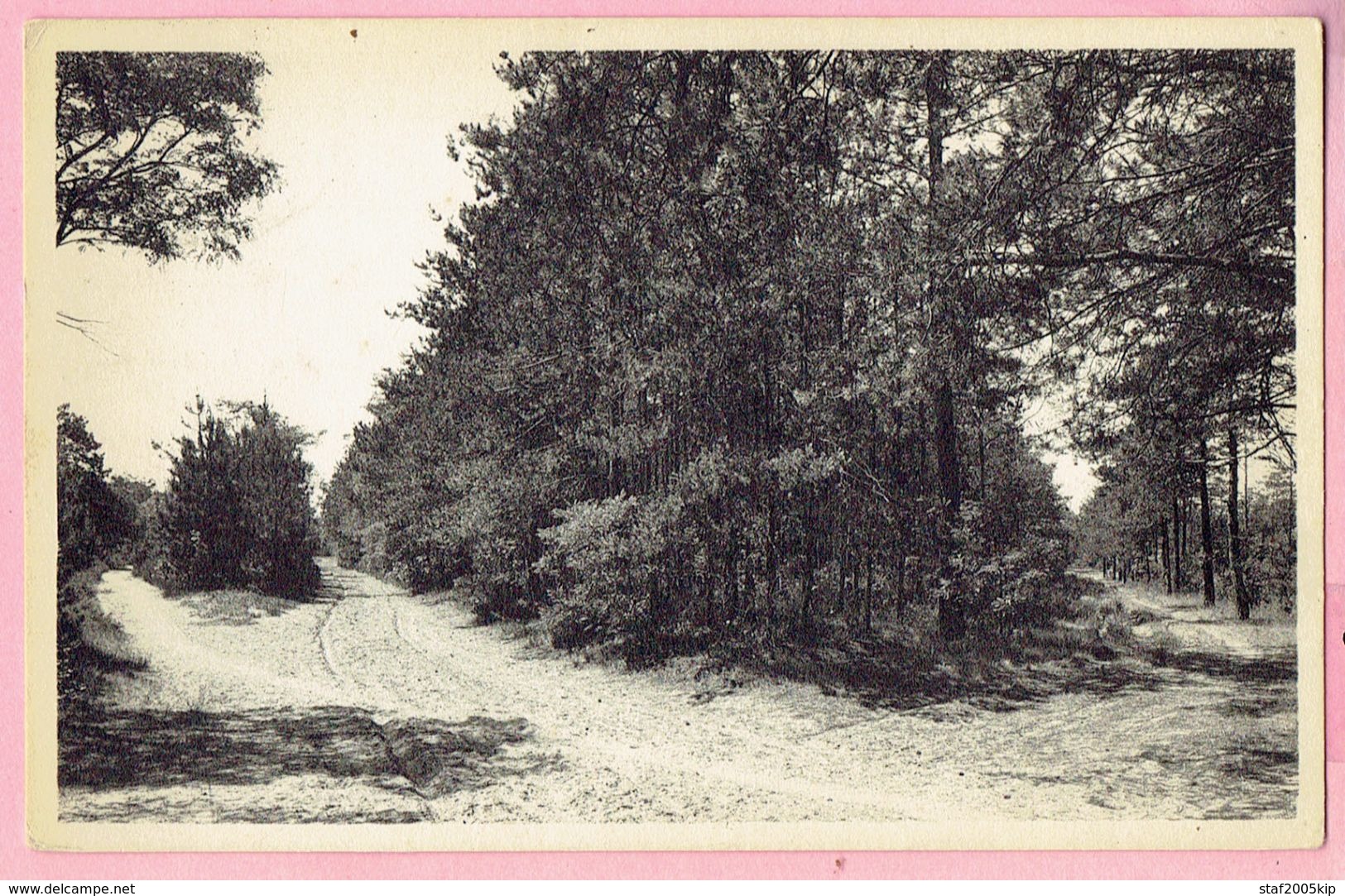 Kasterlee - Boschweg (Goor) - 1955 - Kasterlee