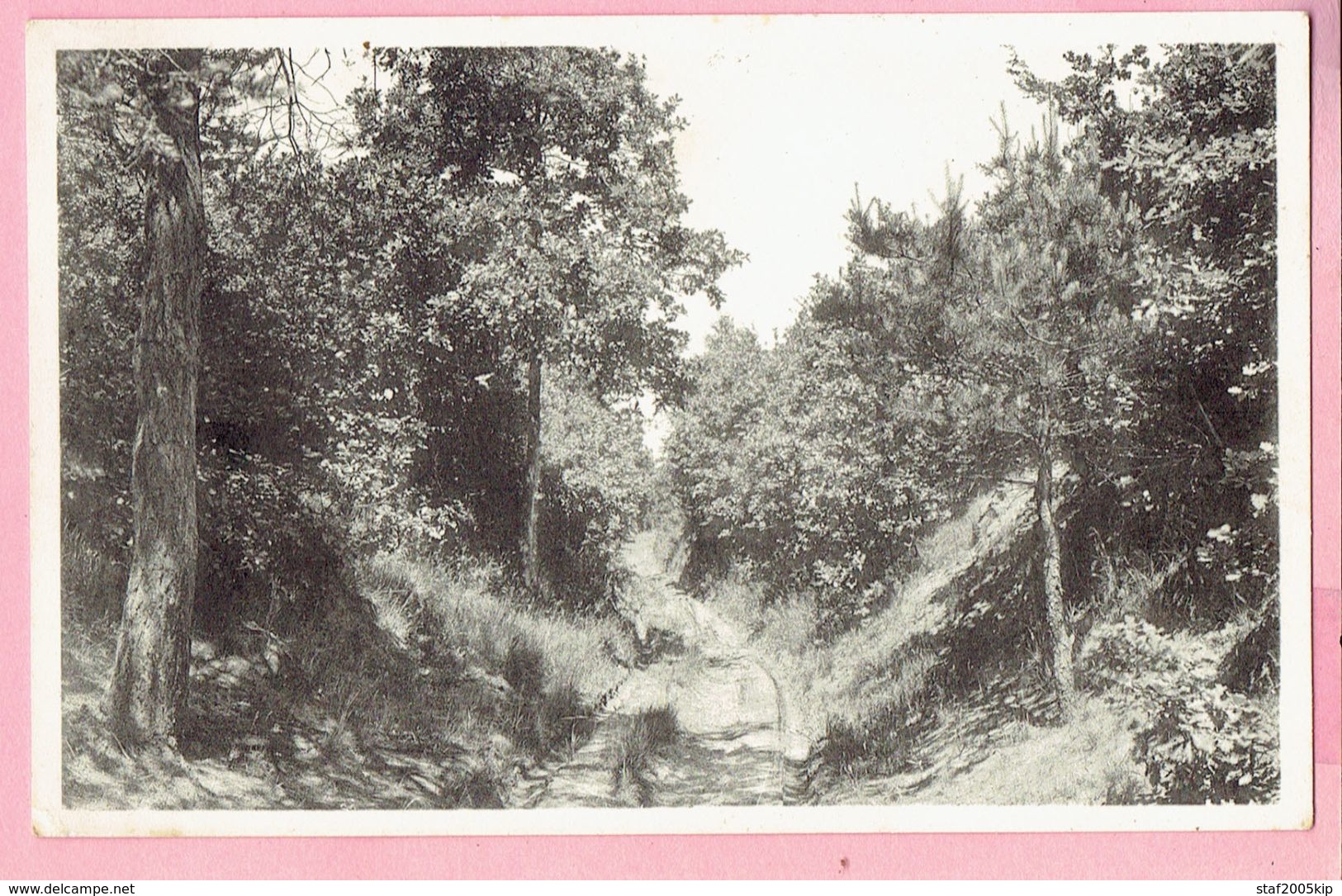 Kasterlee - Holle Weg Goor - 1954 - Kasterlee