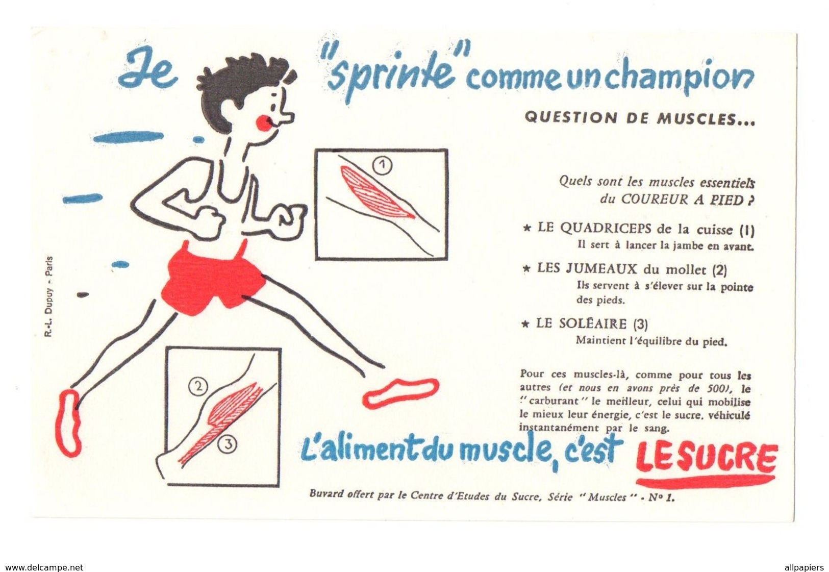 Buvard L'aliment Du Muscle C'est Le Sucre Je "Sprinte" Comme Un Champion - Format : 13.5x21 Cm - Sucreries & Gâteaux