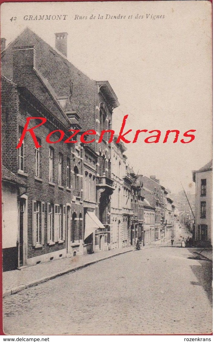 Geraardsbergen Grammont Rues De La Dendre Et Des Vignes 1911 - Geraardsbergen