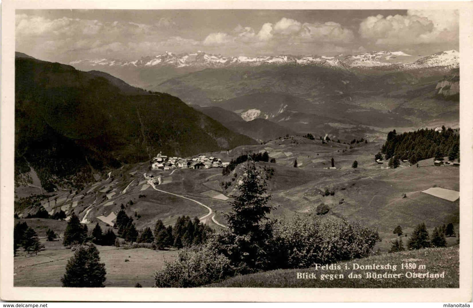 Feldis I. Domleschg - Blick Gegen Das Bündner Oberland (13610) - Domleschg