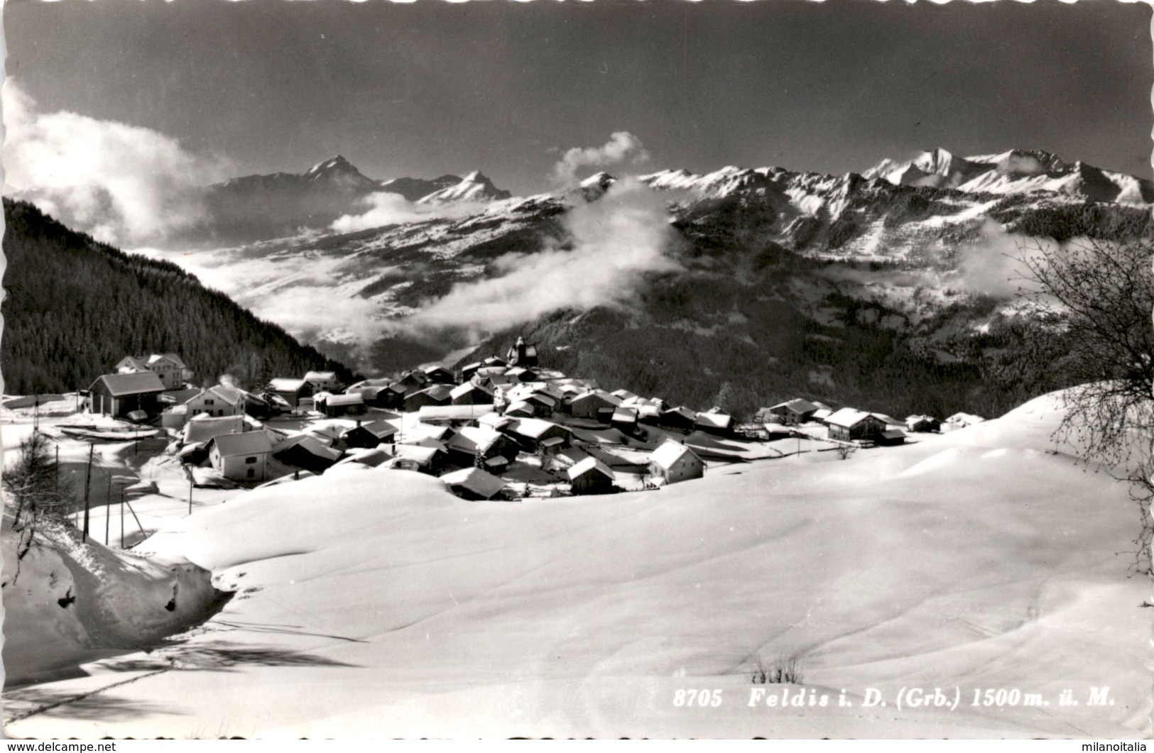 Feldis Im Domleschg (Grb.) (8705) - Domleschg