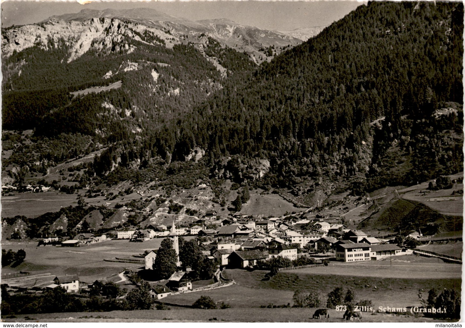 Zillis, Schams (Graubd.) (873) * 28. 11. 1951 - Zillis-Reischen