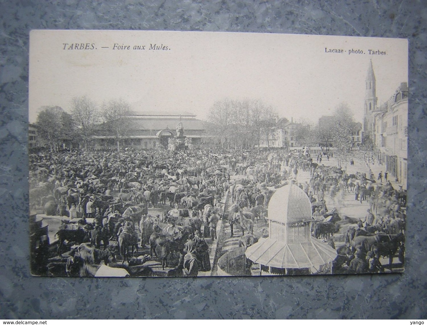 TARBES - FOIRE AUX MULES - Tarbes