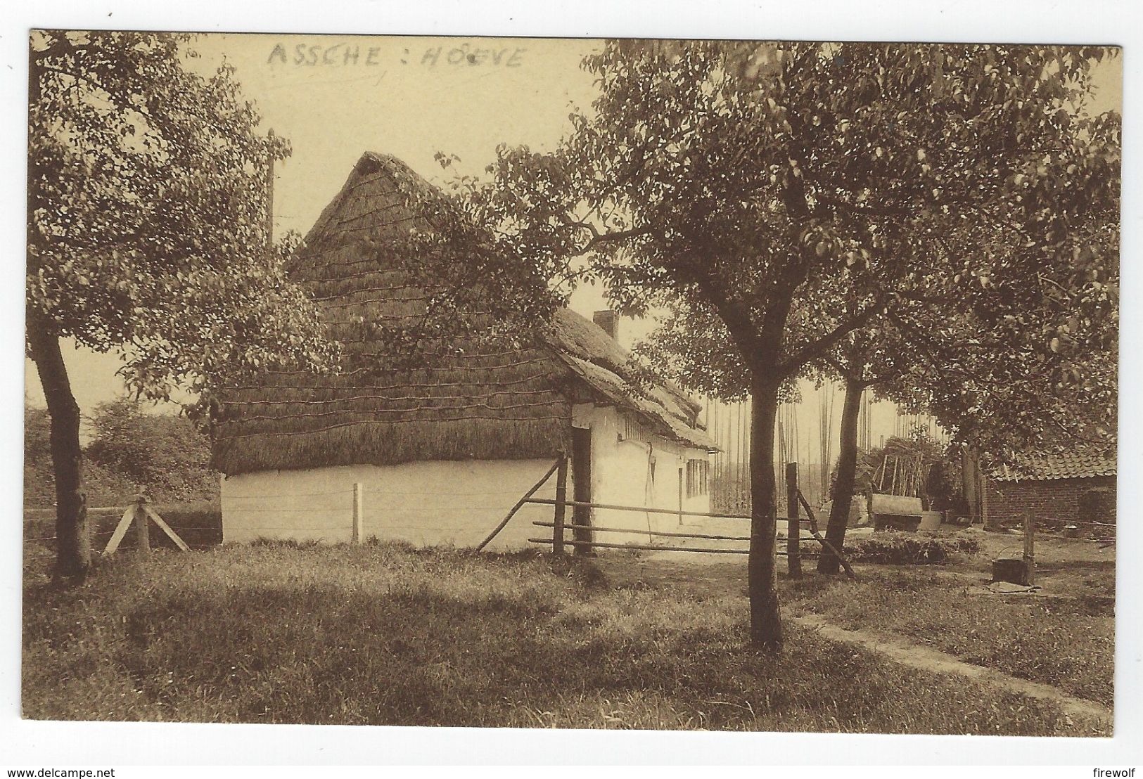 Z01 - Assche - Eene Hoeve / Une Ferme - Asse