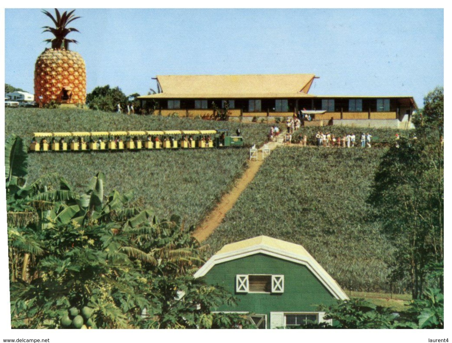 (A 34) Australia - QLD - Big Pineapple & Sunshine Plantation - Sunshine Coast