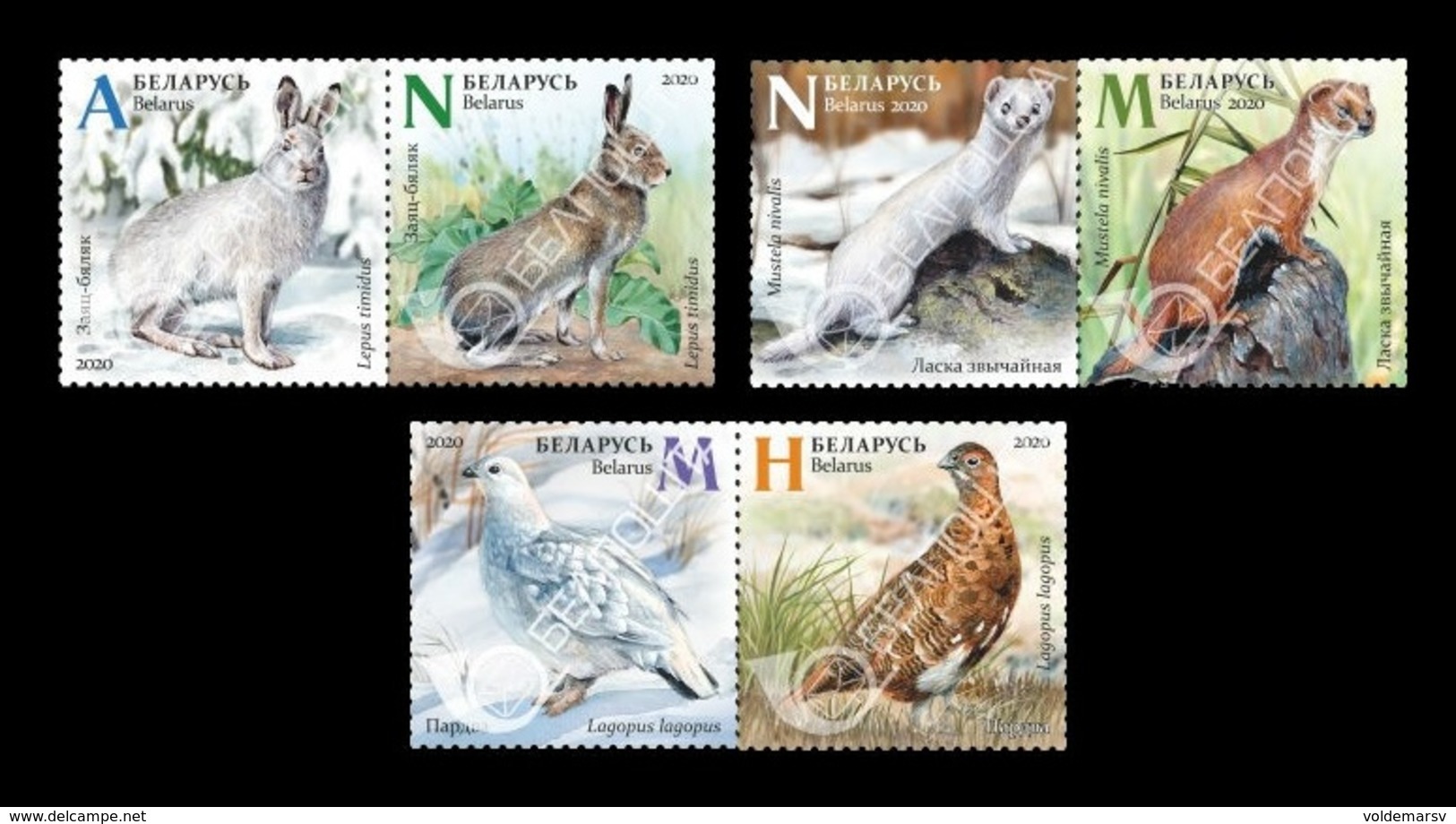 Belarus 2020 Mih. 1343/48 Fauna. Seasonal Variations. Hare. Weasel. Partridge MNH ** - Belarus