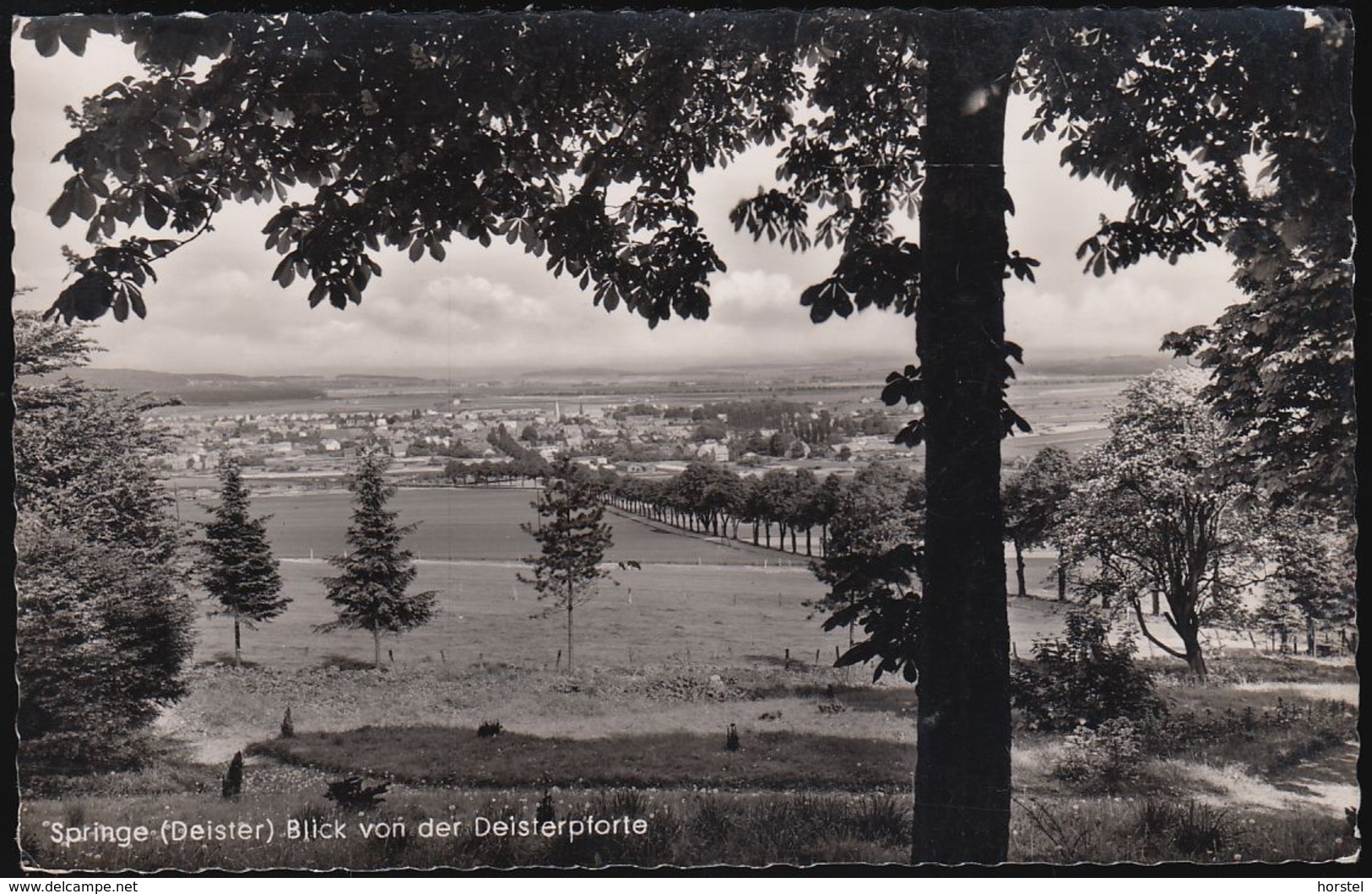 D-31832 Springe - Am Deister - Blick Von Der Deisterpforte - Springe