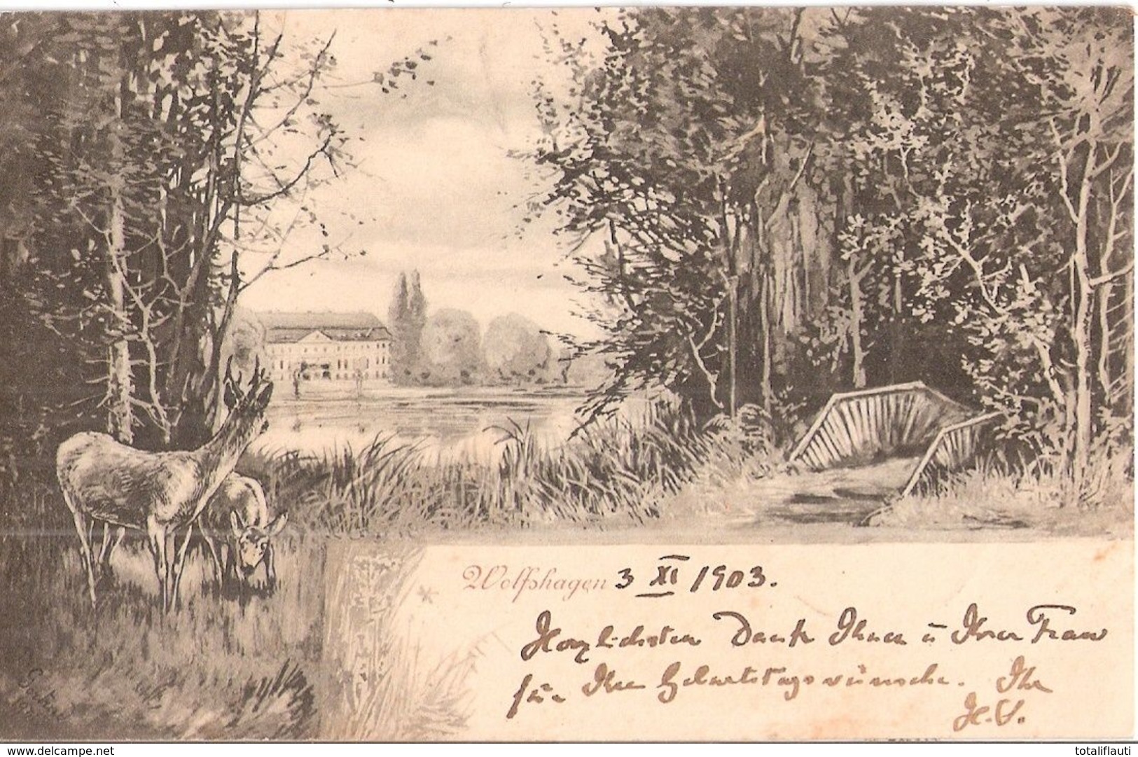 WOLFSHAGEN Uckerland Uckermark Schloß Autograf Adel Besitzer An Kammerherrn Von Der Wensen 4.11.1903 Neustrelitz - Prenzlau