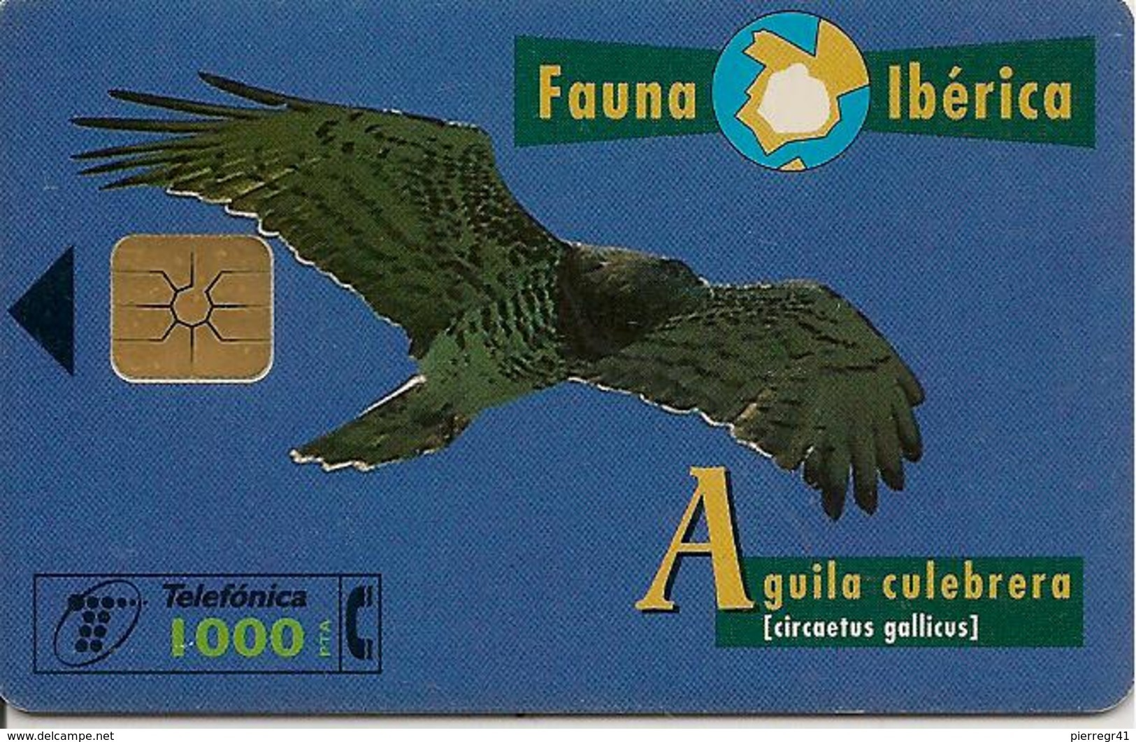 CARTE-PUCE-ESPAGNE-AIGLE-AGUILA CULEBREBA-TBE- - Eagles & Birds Of Prey