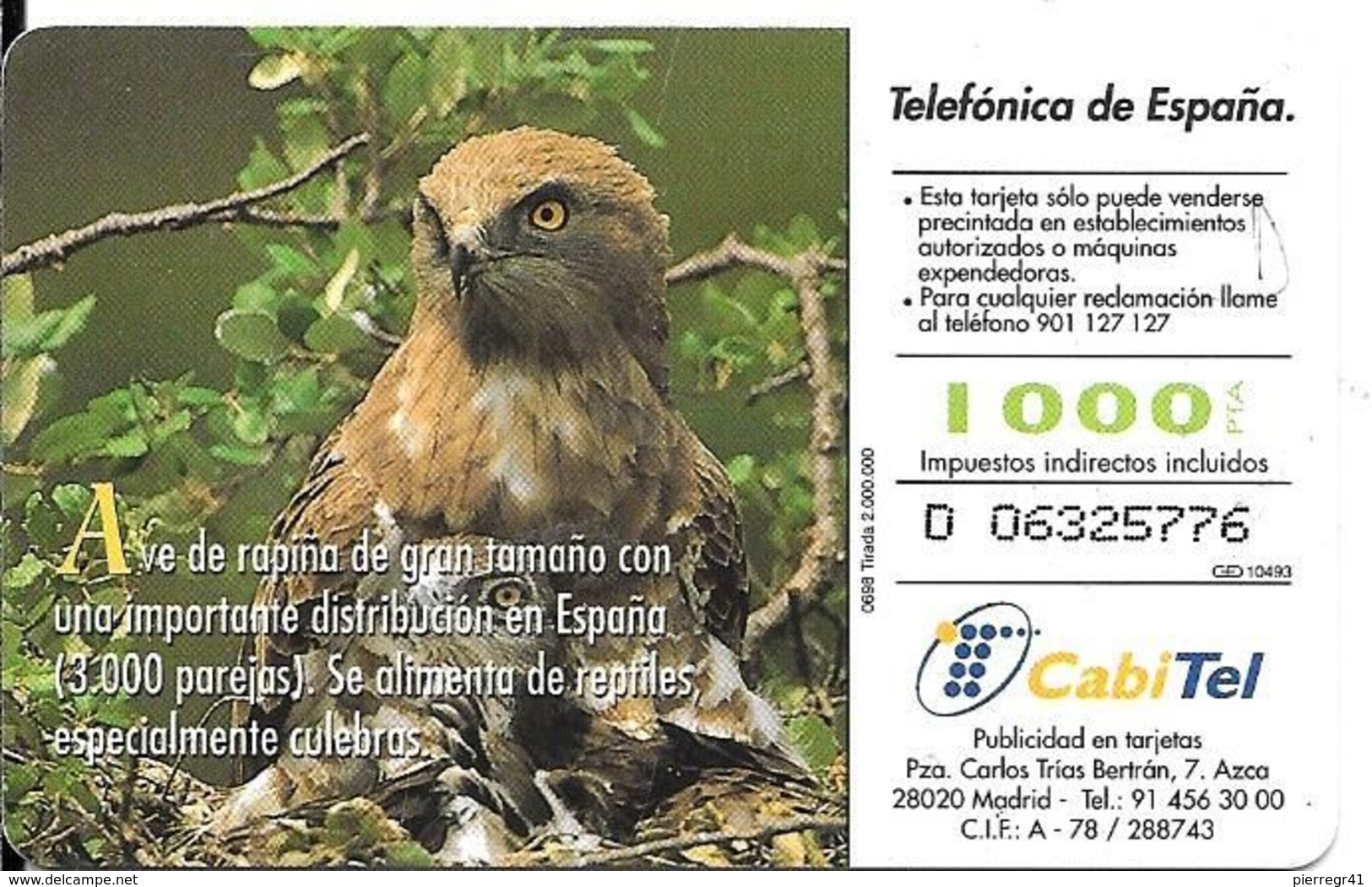 CARTE-PUCE-ESPAGNE-AIGLE-AGUILA CULEBREBA-TBE- - Águilas & Aves De Presa