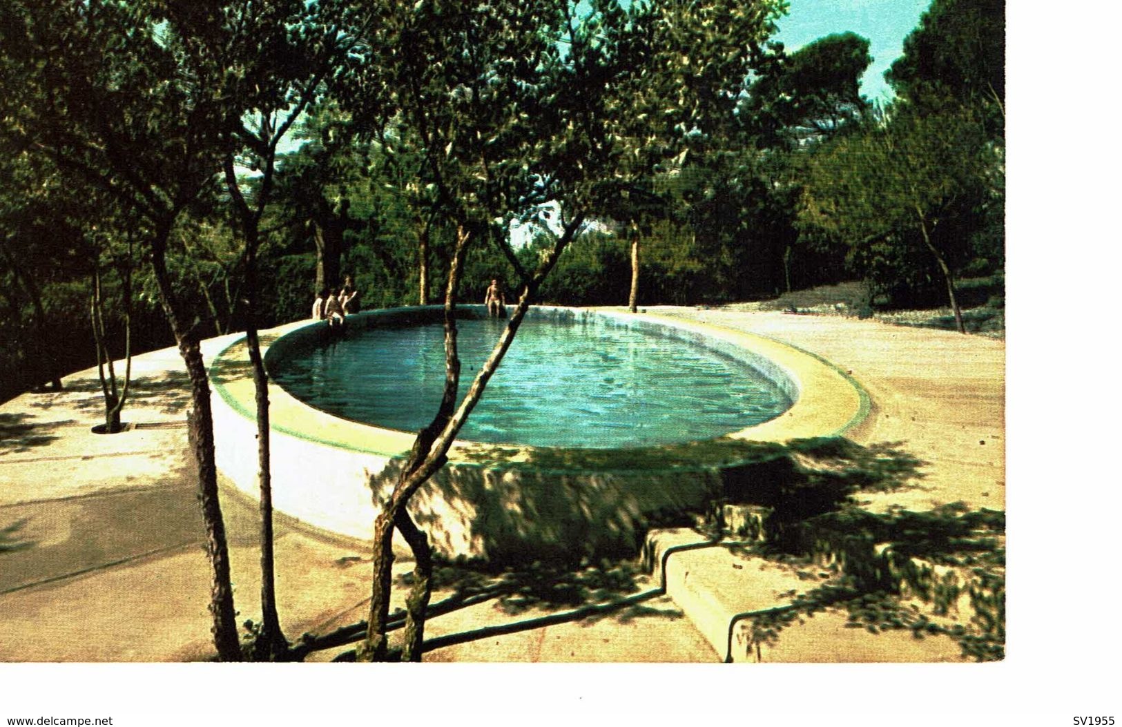 Agde La Petite Piscine à L'abri Dans Les Pins - Agde