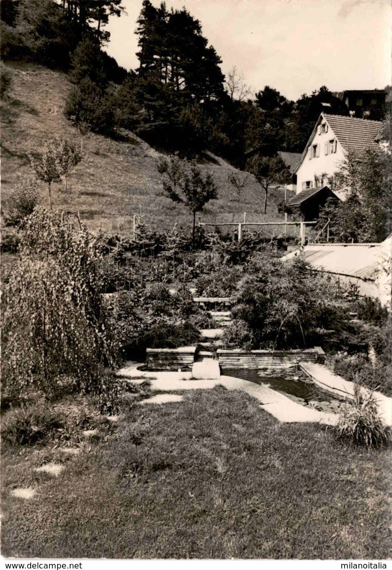 Bündner Dahlien- U. Herbstblumenschau - M. Wieland, Gärtnerei, Tamins - Tamins