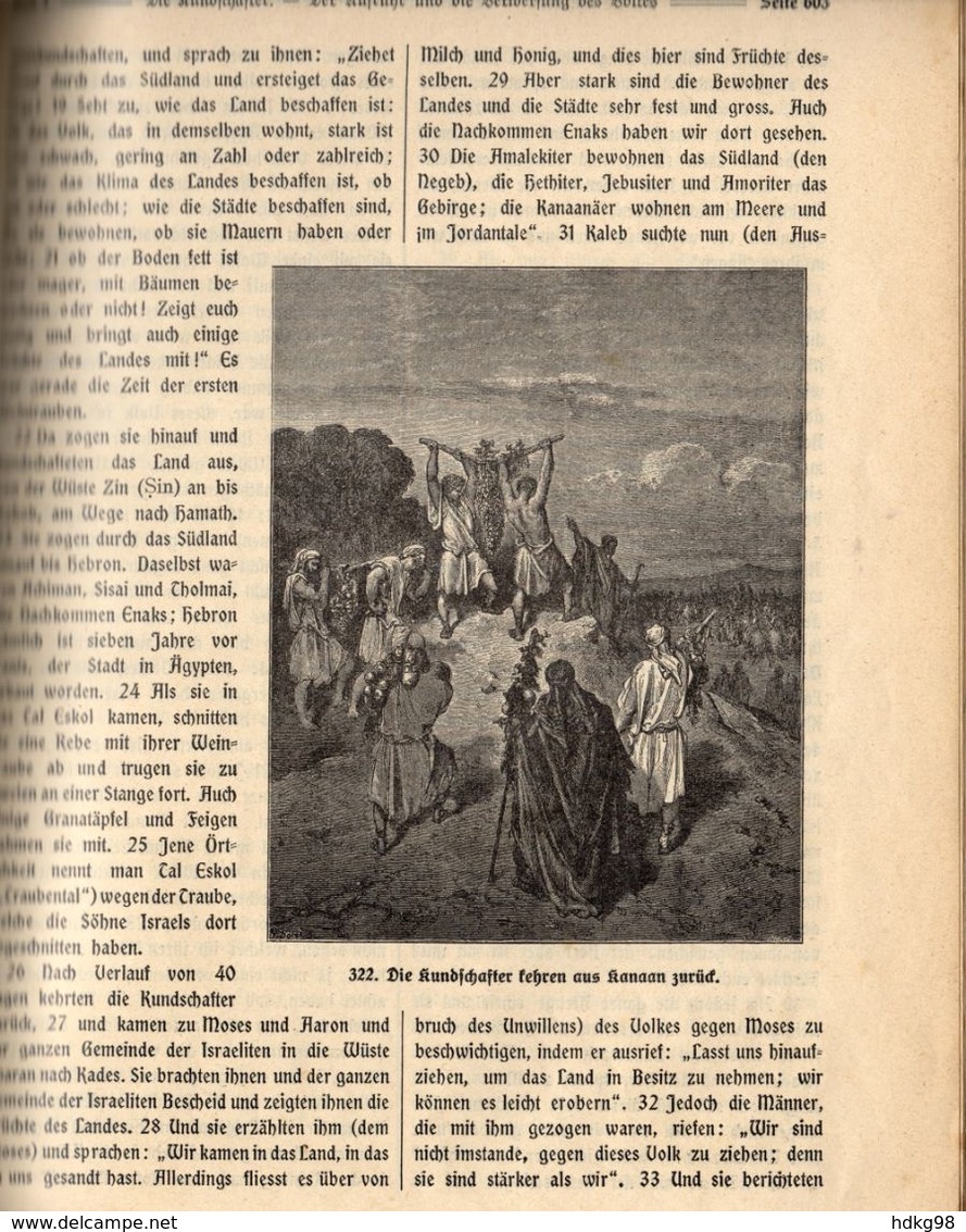 ZXB 1913 Die Heilige Schrift. Geschichte des Alten Bundes. 4. Lieferung - 1913