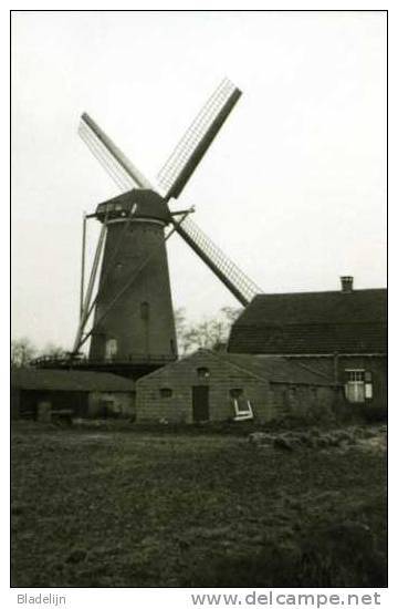 BERGHEM Bij Oss (N.Br.) - Molen/moulin - Verdwenen Molen 'De Anna' Ca. 1965 Voor De Brand. (Romp Bestaat Nog) - Oss