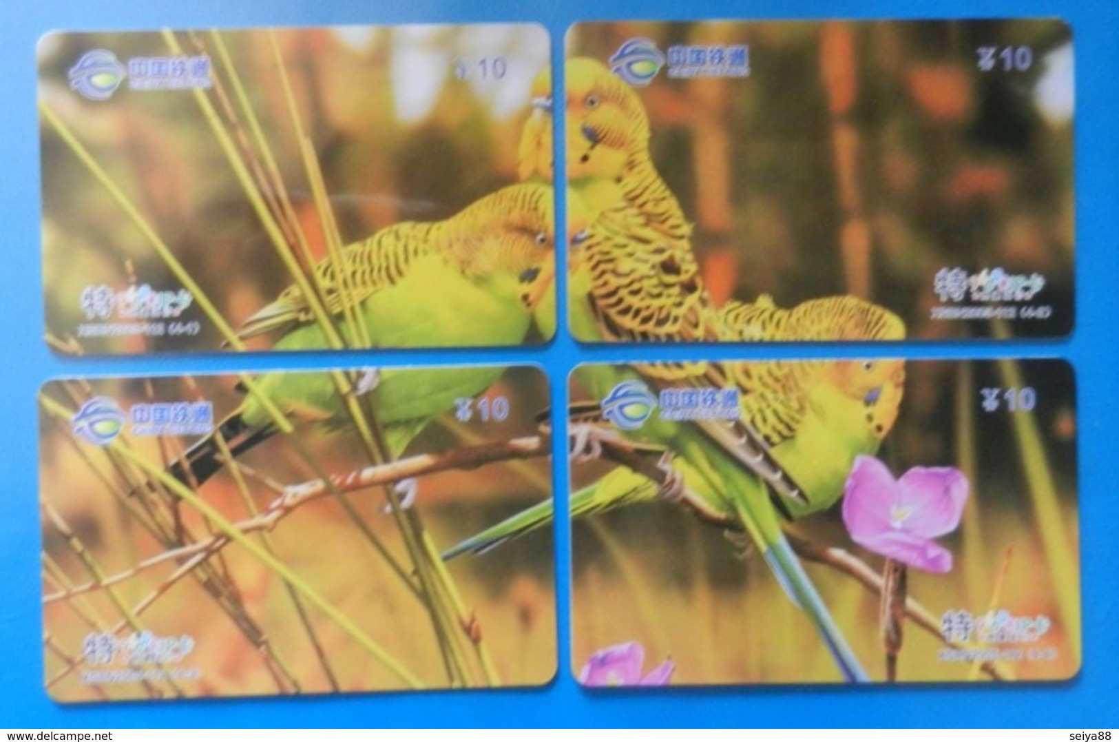 China X4 Puzzle Parrot Bird Parakeet Oiseaux Vogel Birds Parrots Uccello Pappagallo - Perroquets