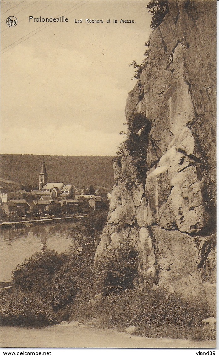 Profondeville -Les Rochers Et La  Meuse - Profondeville