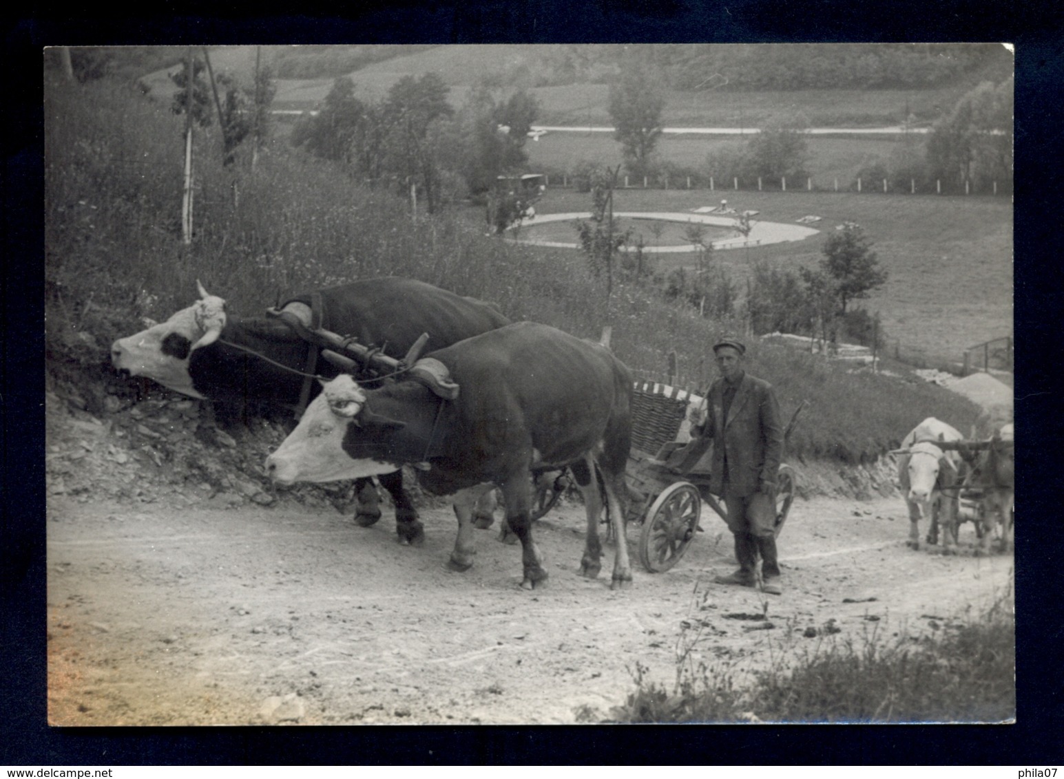 Two Cows Pulling A Cart / Postcard Not Circulated - Vacas