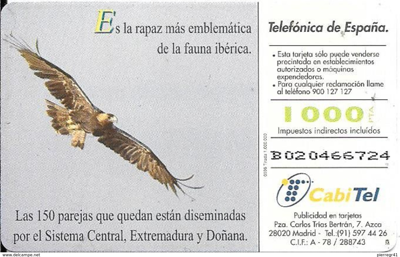 CARTE-PUCE- GEM-ESPAGNE-VAUTOUR-TBE - Eagles & Birds Of Prey