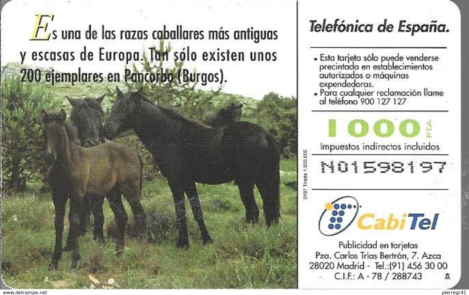 CARTE-PUCE-ESPAGNE-1997-CHEVAUX-TBE - Horses