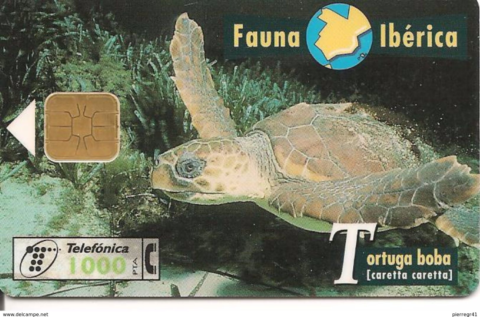 CARTE-PUCE-ESPAGNE-1000Pst-03/97-TORTUE-MARINE-TBE - Tortues