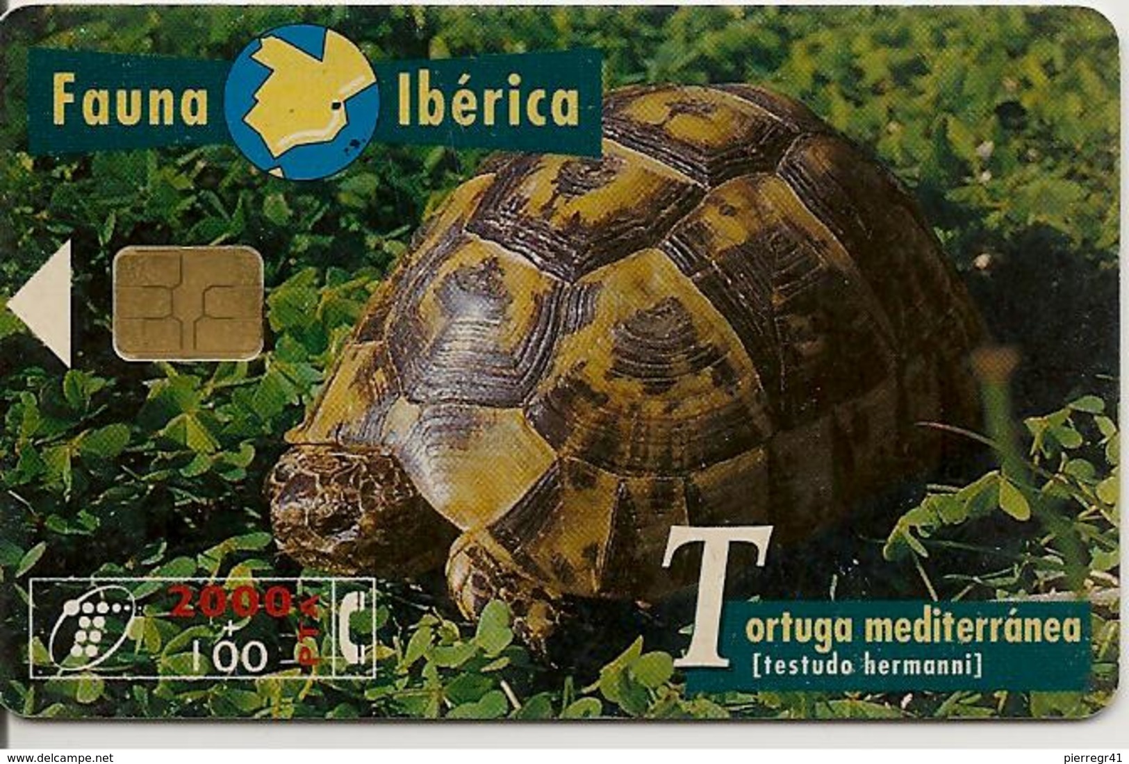 CARTE-PUCE-ESPAGNE-2000Pst-TORTUE-Mediterranée-TBE - Turtles