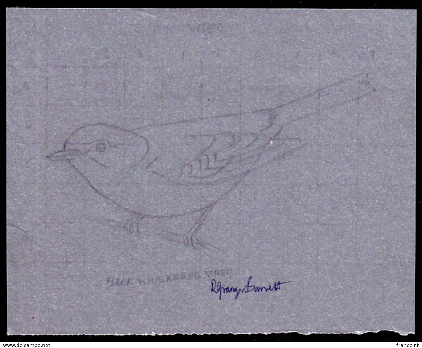 ANGUILLA (1985) Black-whiskered Vireo (Vireo Altiloquus). Pencil Sketch On Cartridge Paper Signed By The Artist. #629 - Anguilla (1968-...)