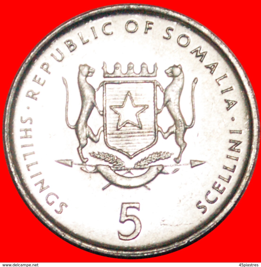 · ELEPHANT (1999-2002): SOMALIA ★ 5 SHILLINGS 2000 MINT LUSTER! LOW START★NO RESERVE! - Somalia