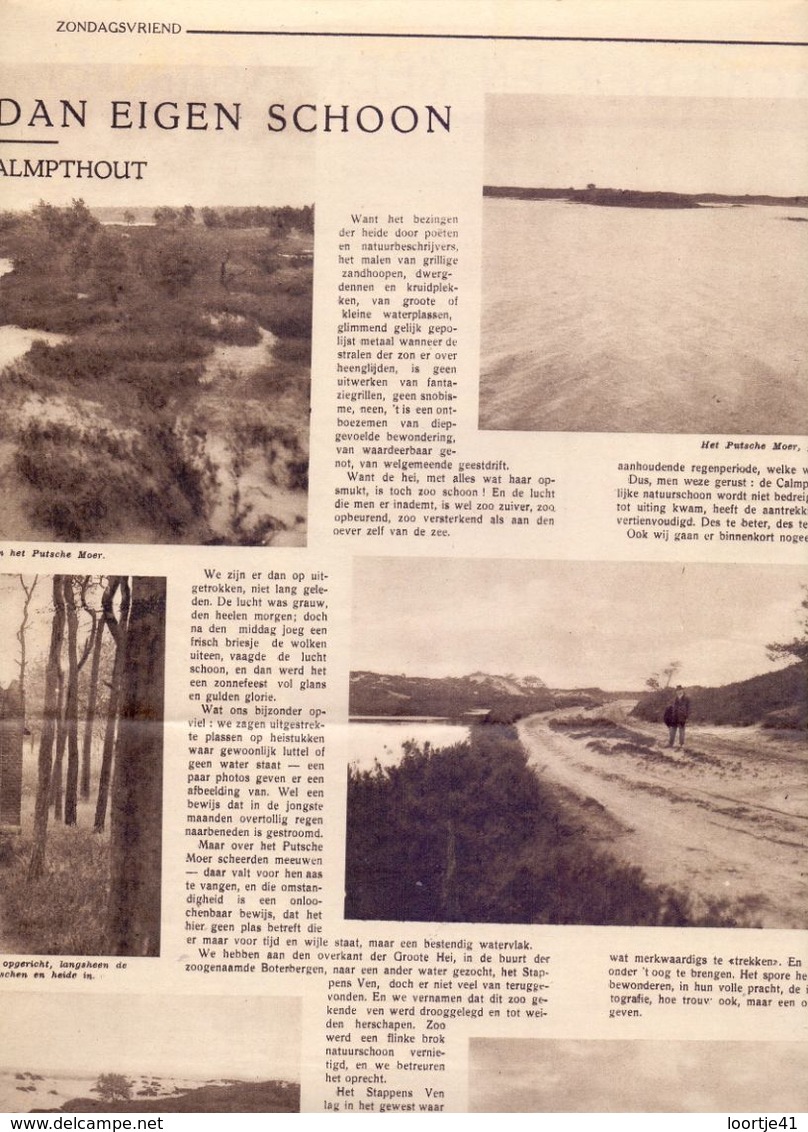 Orig Knipsel Artikel Tijdschrift Magazine - De Heide Van Kalmthout - 1931 - Ohne Zuordnung