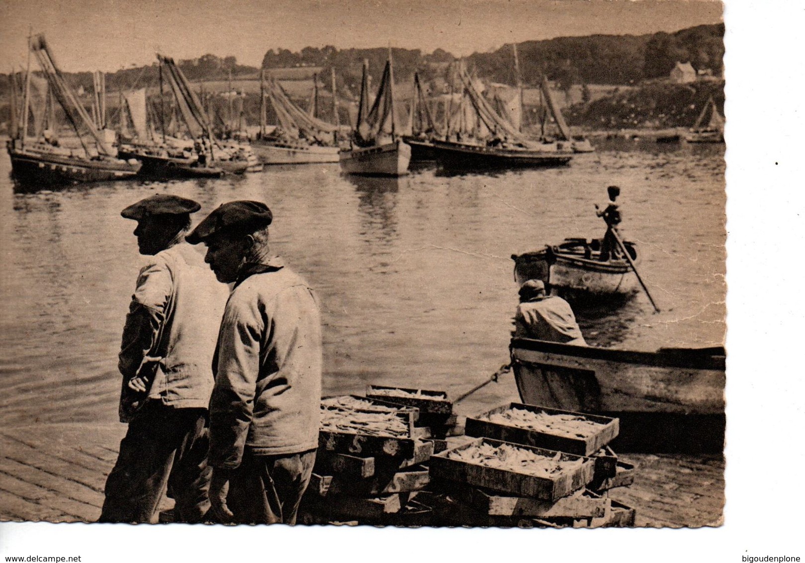 CPSM DOUARNENEZ Pêcheurs De Sardines - Douarnenez