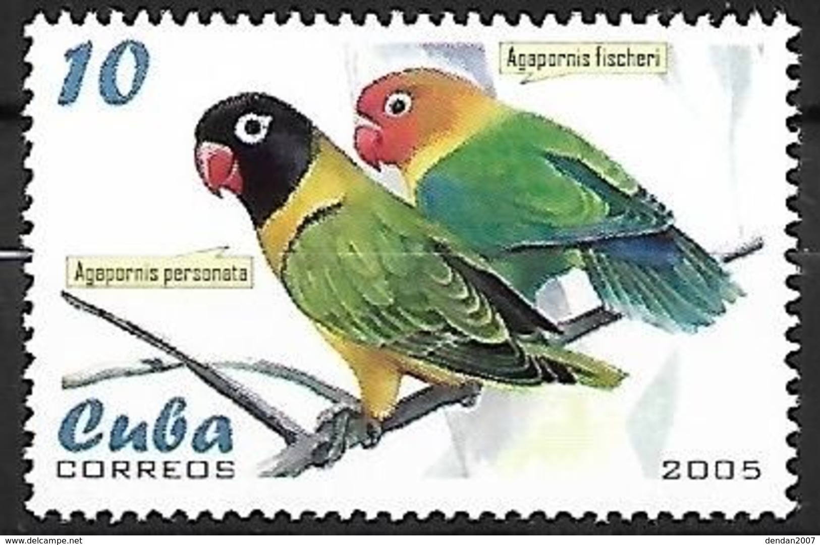 Cuba - MNH 2005 :    Yellow-collared Lovebird    Agapornis Personatus   +   Fischer's Lovebird    Agapornis Fischeri - Papegaaien, Parkieten