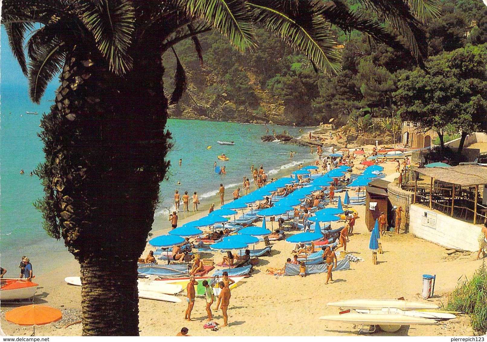 83 - Le Rayol - La Plage - Rayol-Canadel-sur-Mer