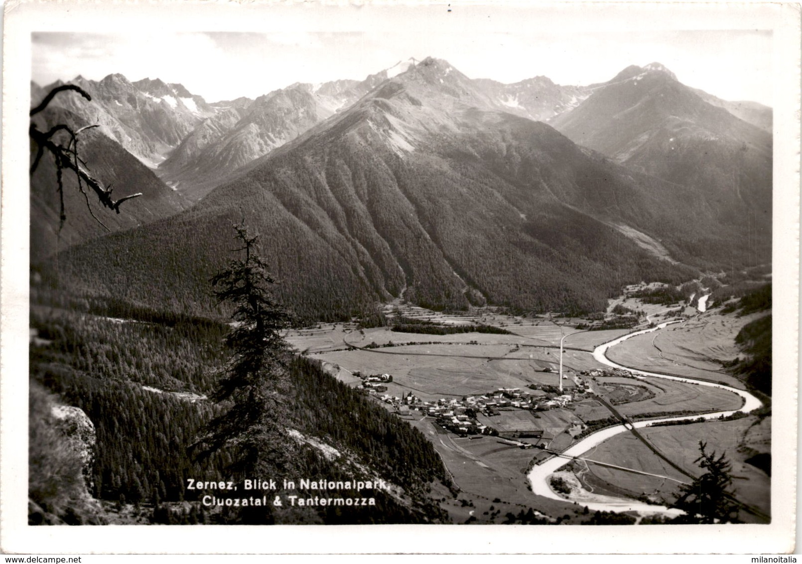 Zernez - Blick In Nationalpark, Cluozatal & Tantermozza - Zernez