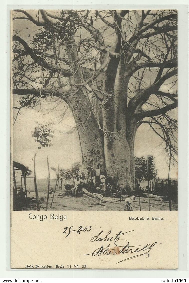 CONGO BELGE - BAOBAB A BOMA 1903  VIAGGIATA FP - Congo Belga