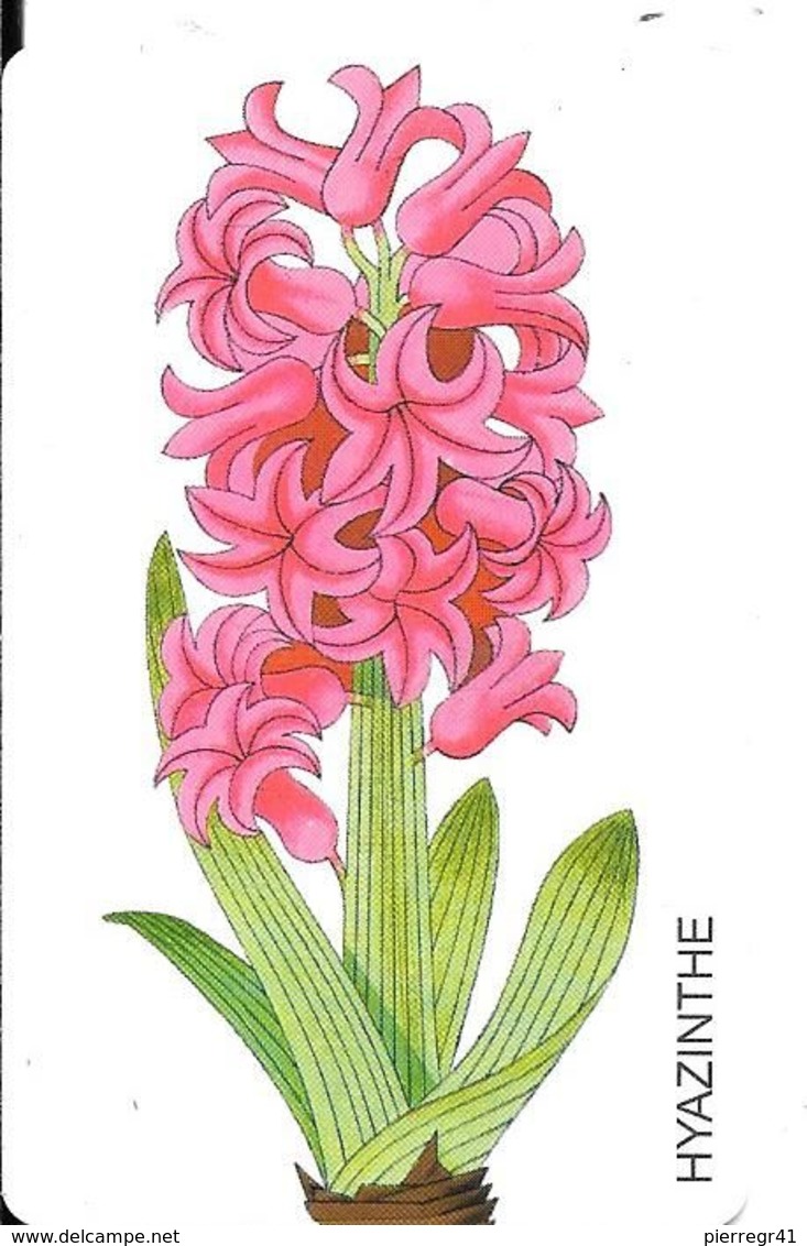 CARTE-PUCE-ALLEMAGNE--5/98-FLEUR-12DM-JACINTHE-UTILISE-TBE - Flowers