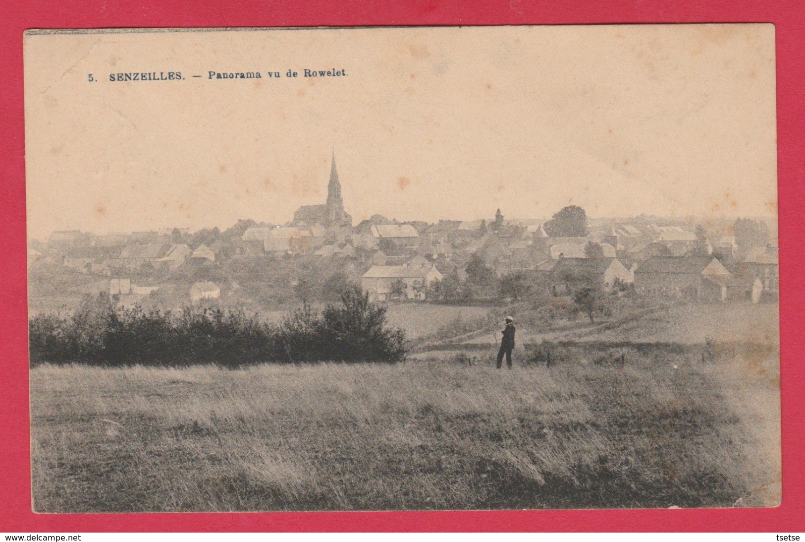 Senzeilles - Joli Panorama ... De La Localité, Vu De Rowelet  -1926  ( Voir Verso  ) - Cerfontaine