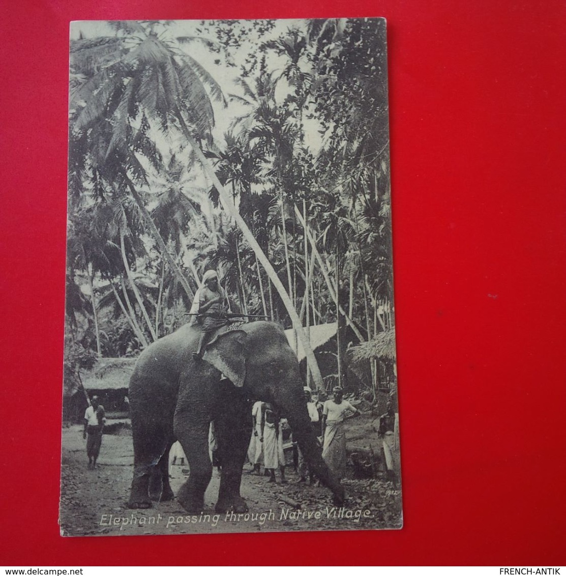 ELEPHANT PASSING THROUGH NATIVE VILLAGE - Sri Lanka (Ceylon)