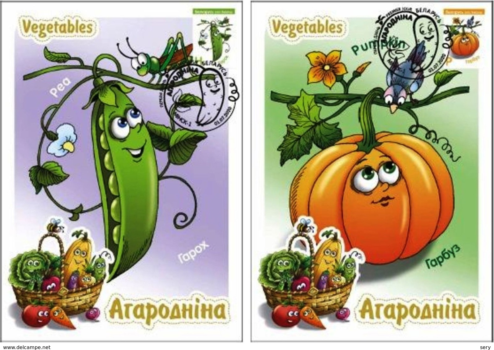 Belarus 2020 Set 14 Maxicards MC Definitives Flora  Vegetables Legumes - Vegetables