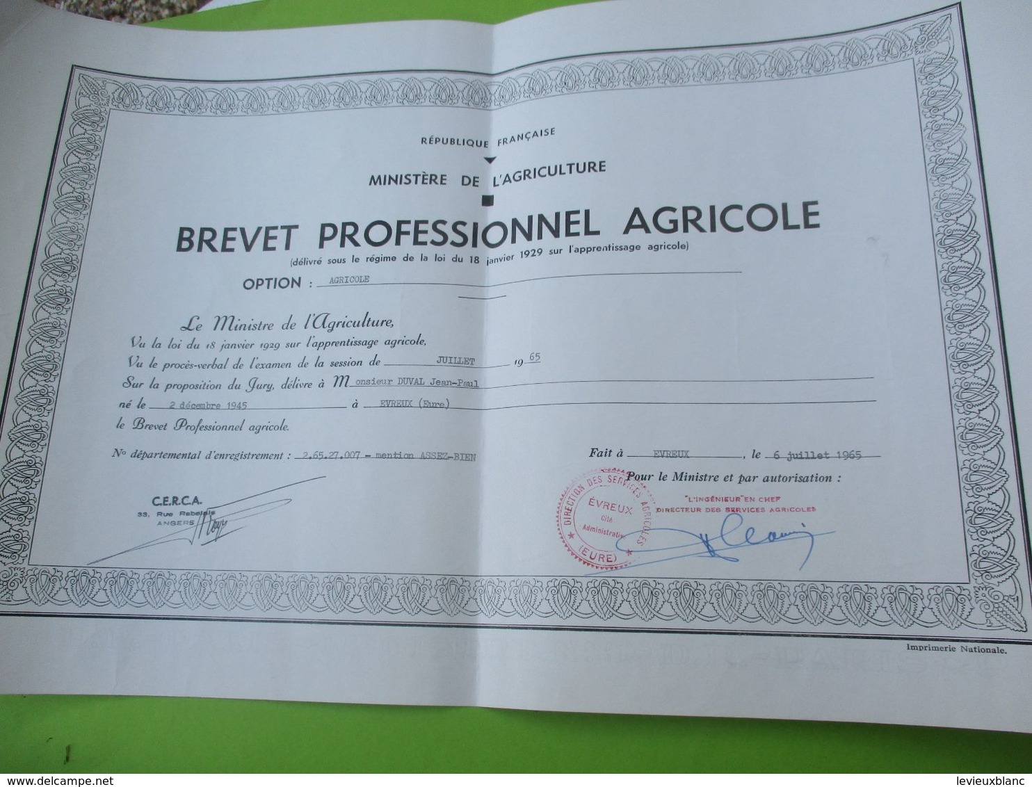 Diplôme Agricole/ Brevet Professionnel Agricole/ CERCA ANGERS/Mention Assez Bien /JP DUVAL/ 1965  DIP228 - Diploma's En Schoolrapporten