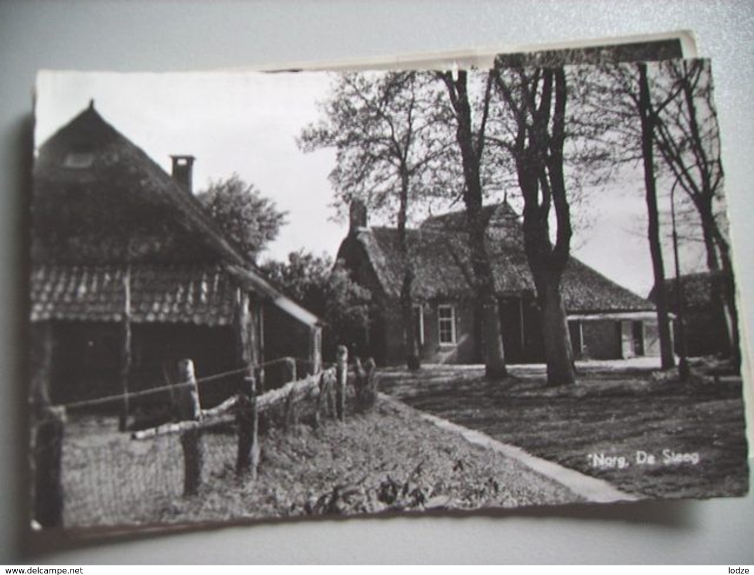 Nederland Holland Pays Bas Norg Bij Assen Met De Steeg In 1965 - Norg