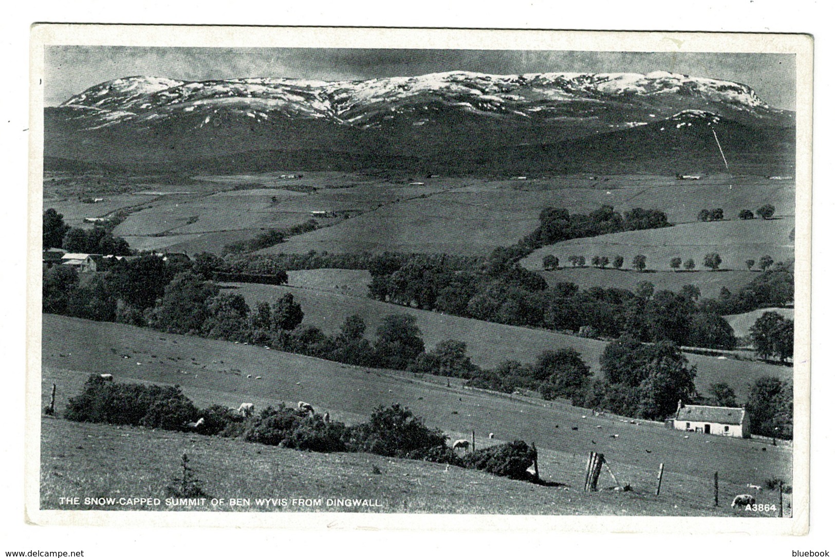 Ref 1380 - Early Postcard - Snow Capped Summit Of Ben Wyvis From Dingwell - Scotland - Ross & Cromarty