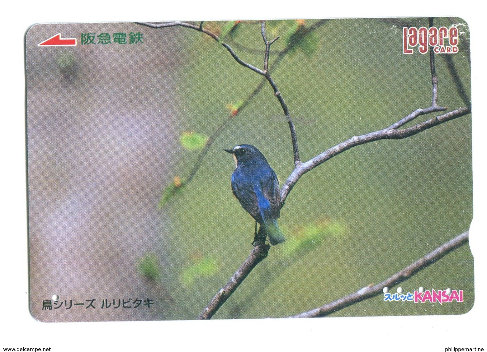 Japon - Lagare Card : Oiseau - Wereld