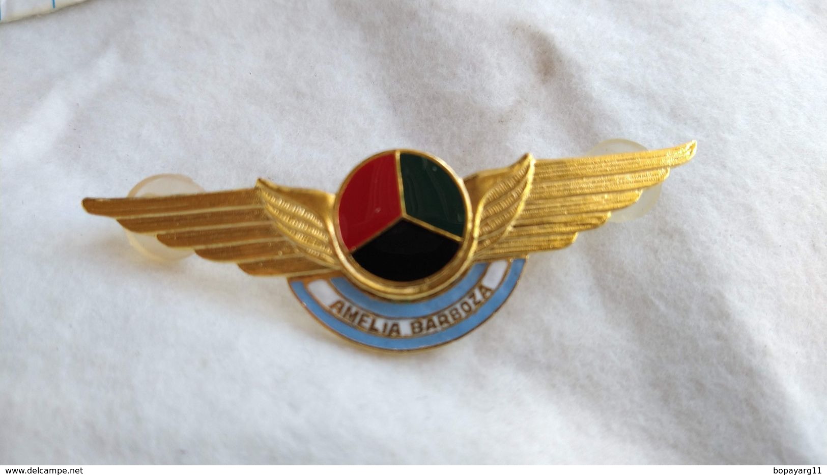 Argentina Argentine  Air Force Wings Ailes Badge Insigne  #14 - Fuerzas Aéreas