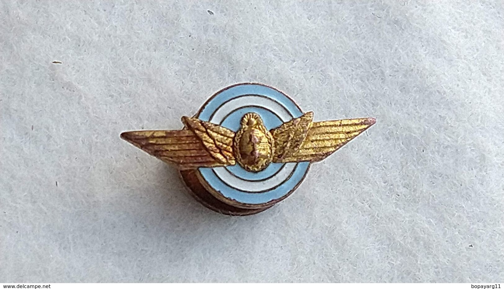 Argentina Argentine Air Force Pin  Badge Insigne  #14 - Aviation