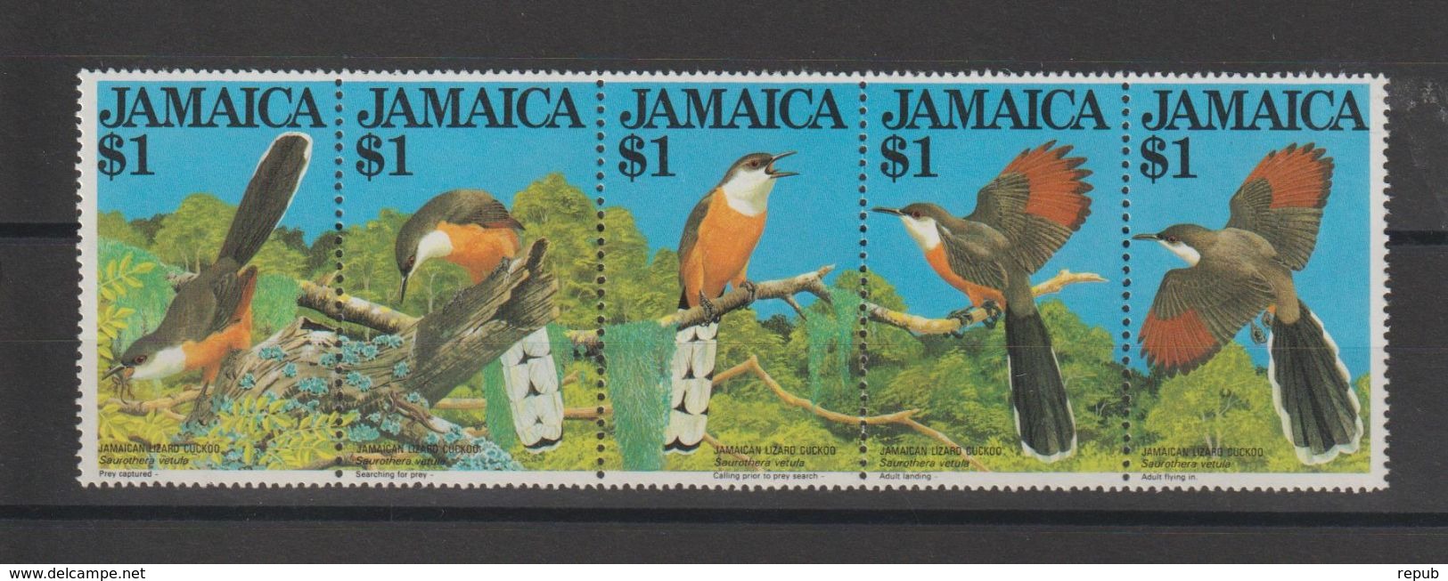 Jamaique 1982 Oiseaux 563-67 5 Val ** MNH - Jamaica (1962-...)