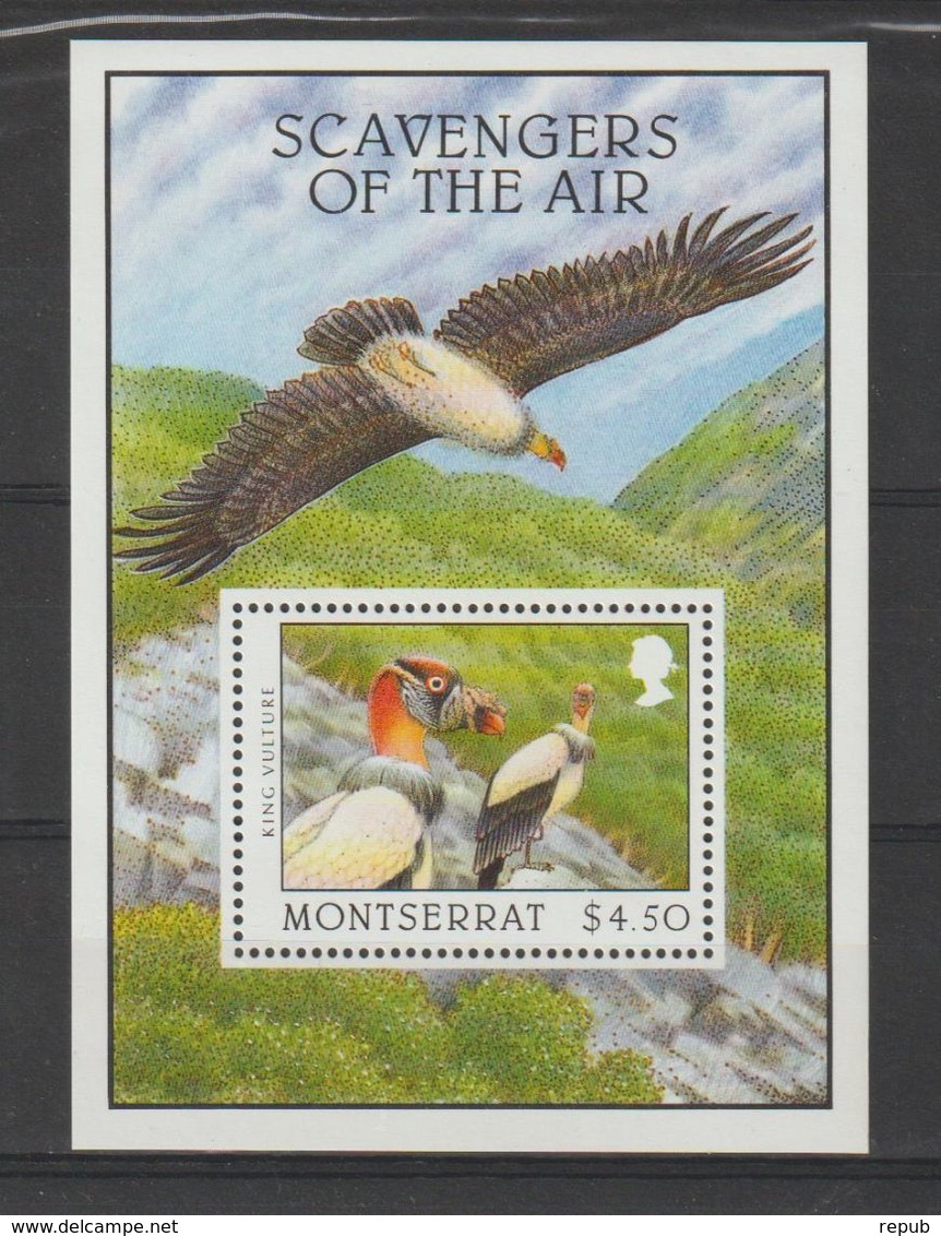 Montserrat 1997 Oiseaux BF 72 ** MNH - Montserrat