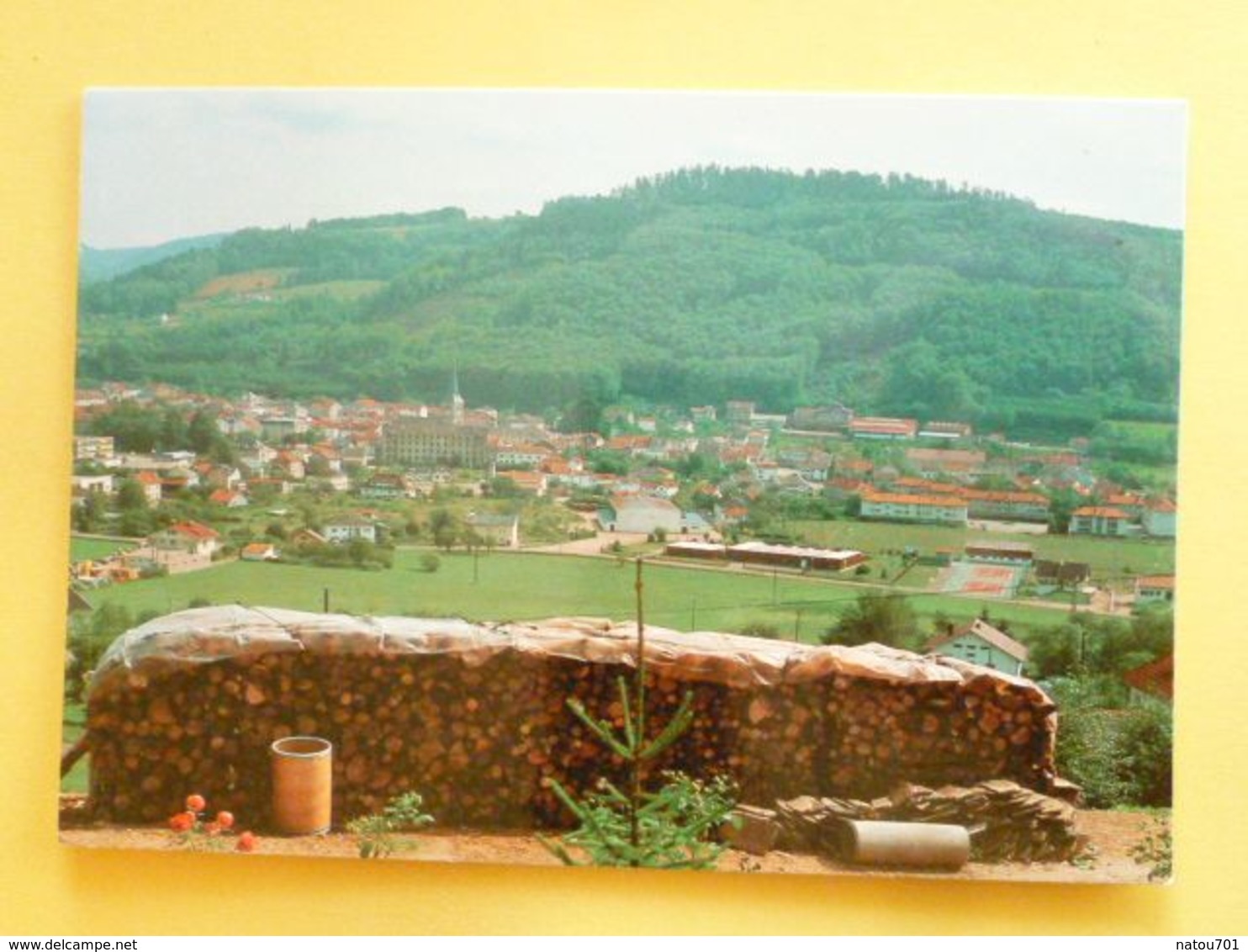 V10-88--vosges- Le Val D'ajol- Vue Generale--pile De Bois-- - Saint Etienne De Remiremont