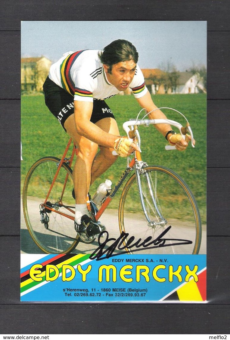 CARTE PHOTO  Format CP 12 X 18 / DÉDICACE De EDDY MERCKX - Equipe MOLTENI 1971 A 1976 - Radsport